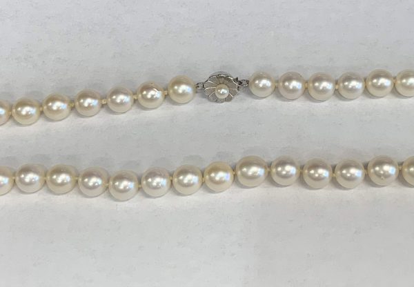 WHITE PEARL 8.5MM NECKLACE 11" W 14K W/G CLASP 35.6DWT